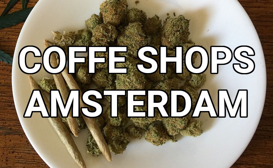 Los 10 mejores Coffee Shops de Ámsterdam