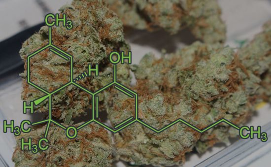 EL THC ¿QUÉ ES TETRAHIDROCANNABINOL?