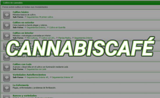 CANNABISCAFÉ POSIBLEMENTE EL FORO MAS ACTIVO DE CANNABIS