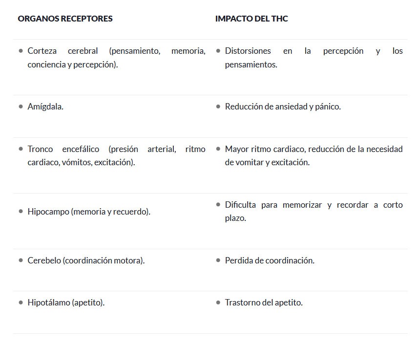 Receptores cannábicos y el Thc