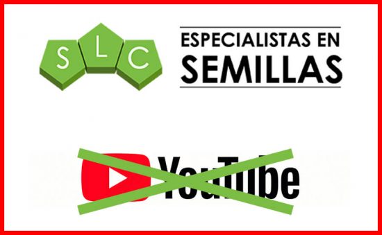 YOUTUBE CENSURA LA MARIHUANA