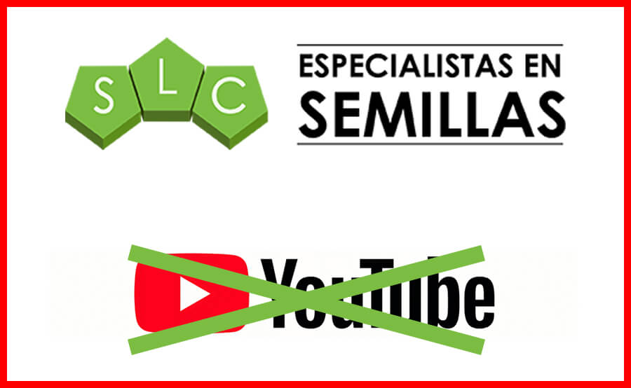 youtubeslc