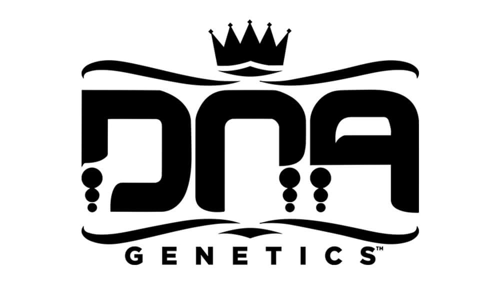 dna genetics