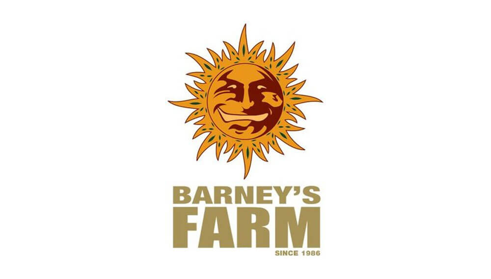 barneys farm