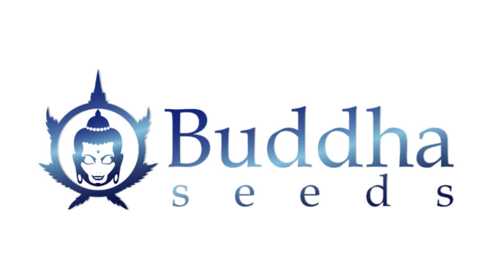 buddha seeds