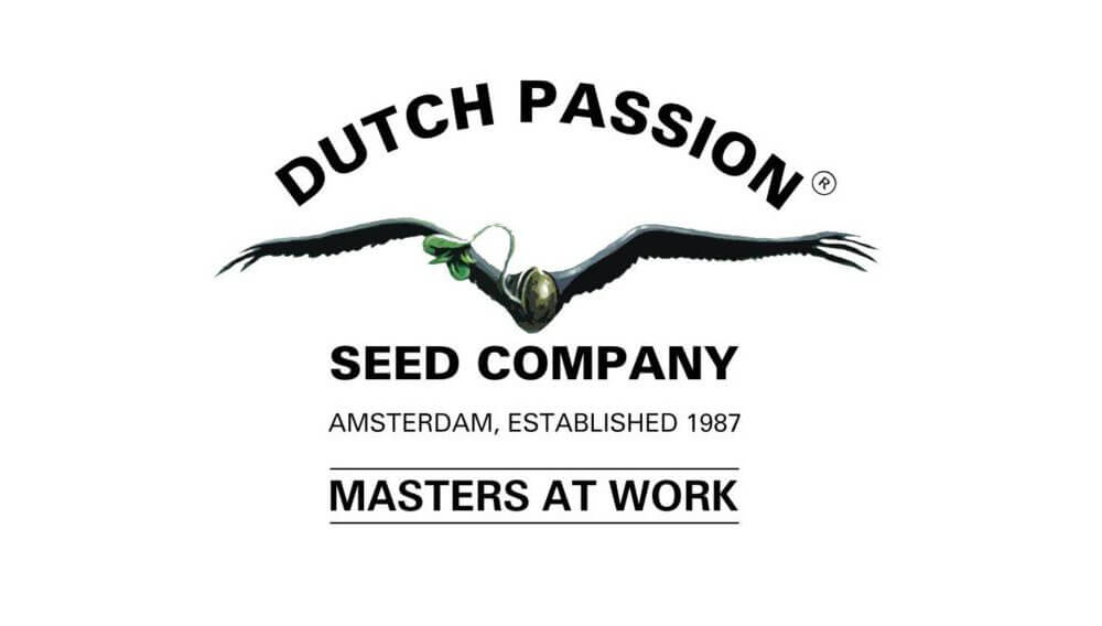 dutch passion