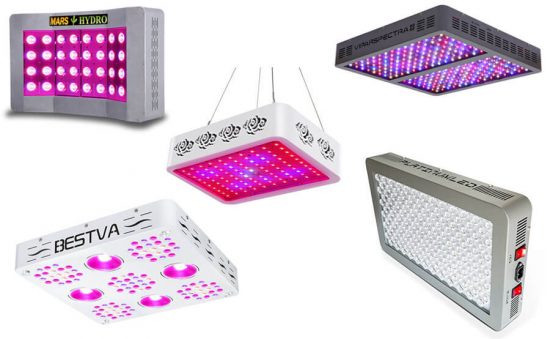 LOS MEJORES LEDS PARA EL CULTIVO
