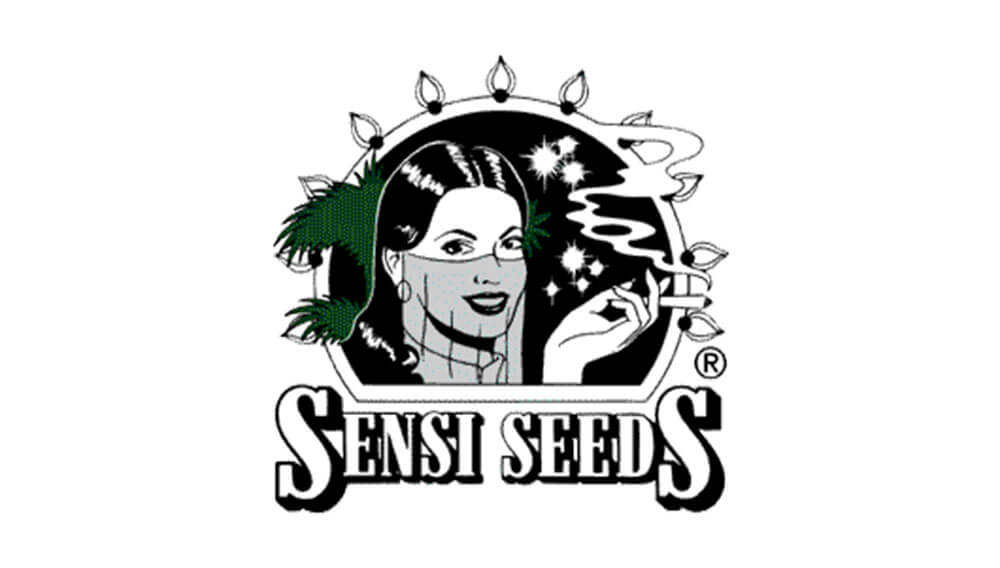 sensi seeds