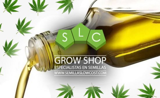 LA RECETA SECRETA DEL ACEITE DE MARIHUANA
