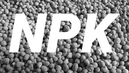 ¿QUÉ ES UN ABONO NPK?