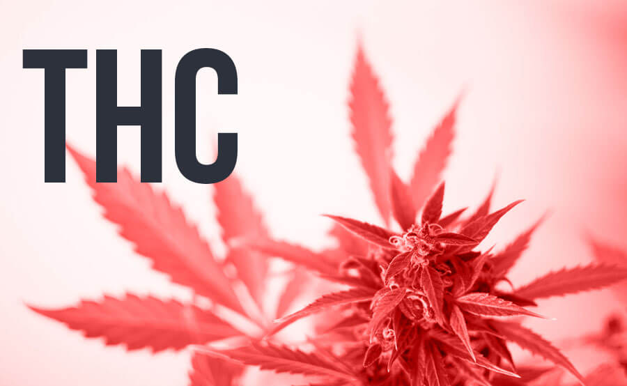 THC en Sangre