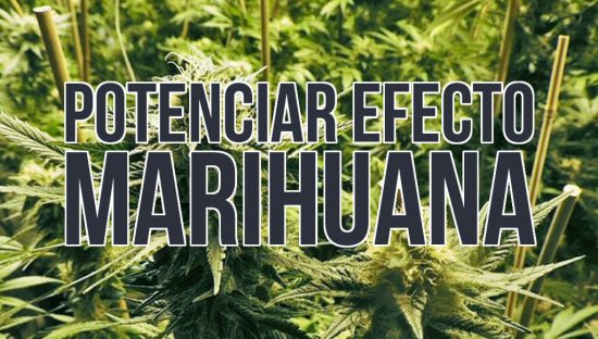 POTENCIAR EL EFECTO DE LA MARIHUANA