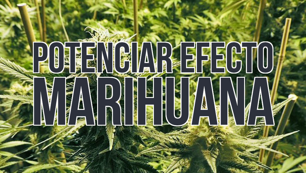 Potenciar efecto marihuana