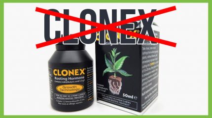 Portada del artículo que cuenta la actualidad del Clonex
