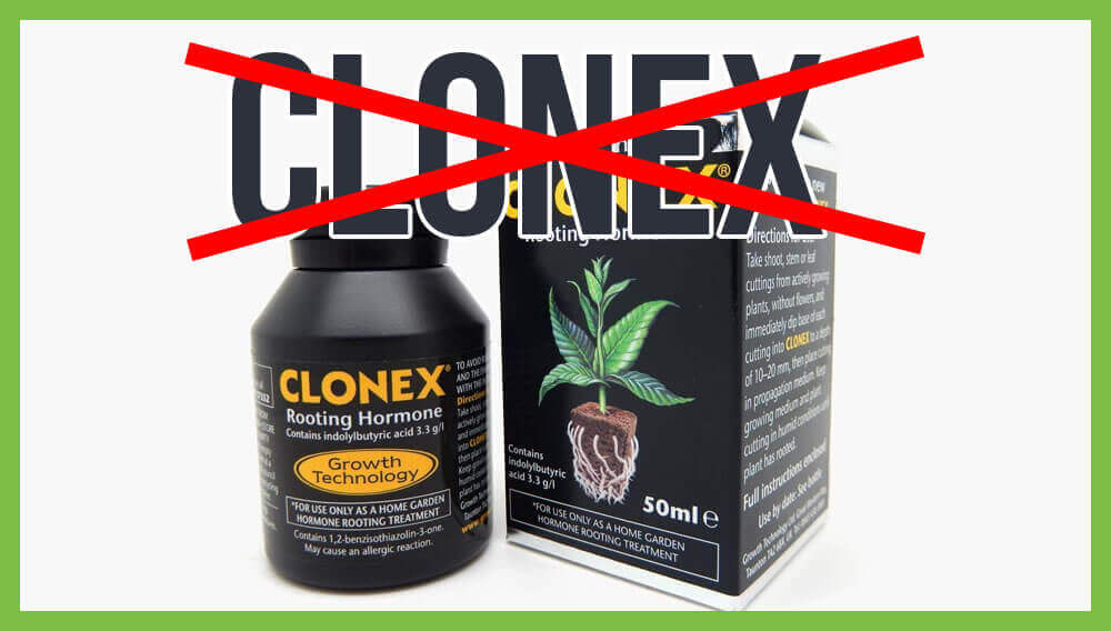 clonex