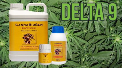 Estimulador de floración Delta 9 – Como Usarlo