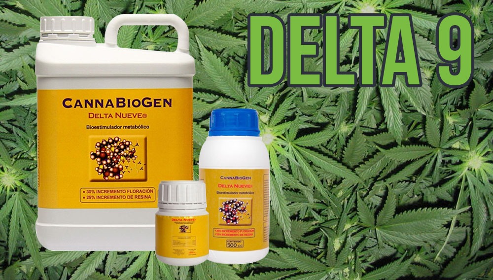 Delta 9, Estimulador de Floración Cómo Usarlo