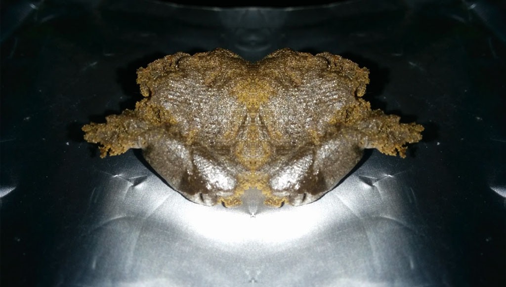 hachís