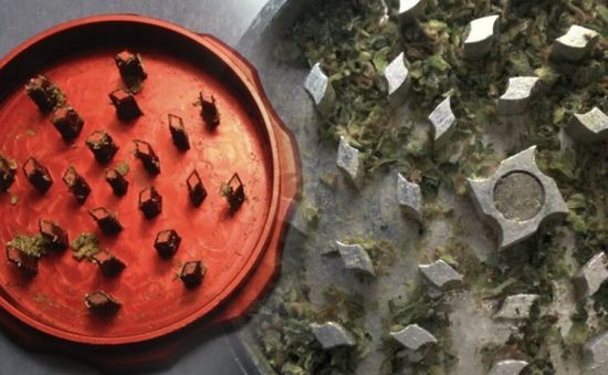 COMO LIMPIAR UN GRINDER – LOS MEJORES MÉTODOS