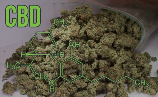 ¿QUÉ ES EL CBD DE MARIHUANA? – BENEFICIOS Y CONTRAINDICACIONES