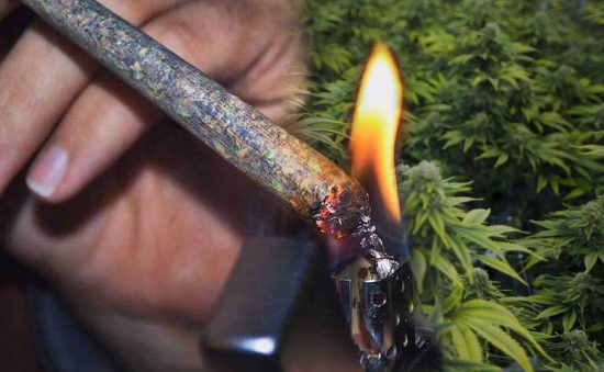 ¿FUMAR PORROS DE MARIHUANA ADELGAZA?