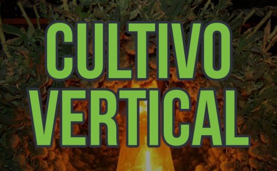 SISTEMA DE CULTIVO VERTICAL DE MARIHUANA – VENTAJAS Y COMO MONTARLO