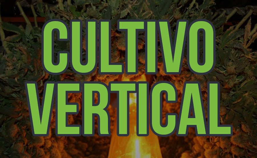 cultivo vertical