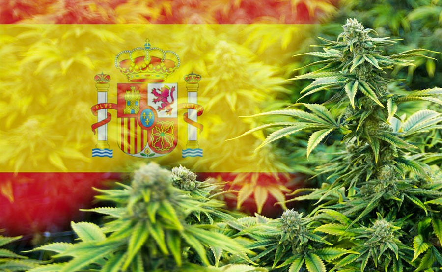 marihuana en españa