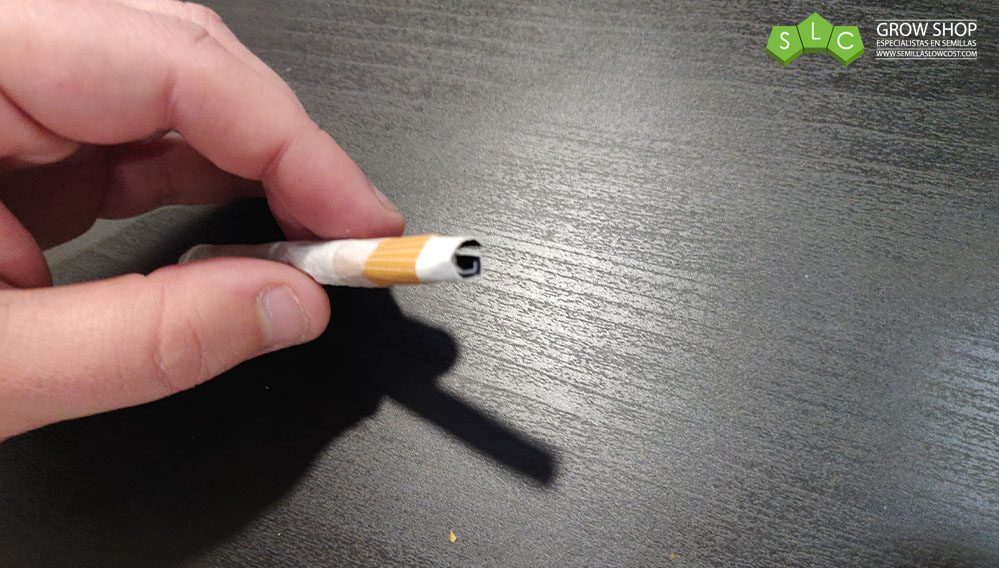 Cuanto Tardas En Desintoxicarse De Los Porros