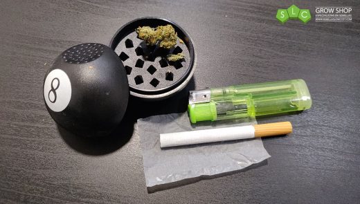 ¿CÓMO LIAR UN PORRO?