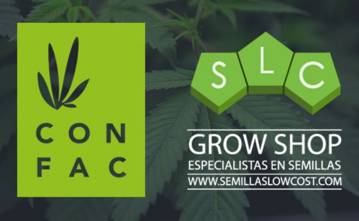 CONFEDERACIÓN DE FEDERACIONES DE ASOCIACIONES CANNÁBICAS (ConFAC)