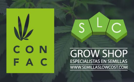 CONFEDERACIÓN DE FEDERACIONES DE ASOCIACIONES CANNÁBICAS (ConFAC)