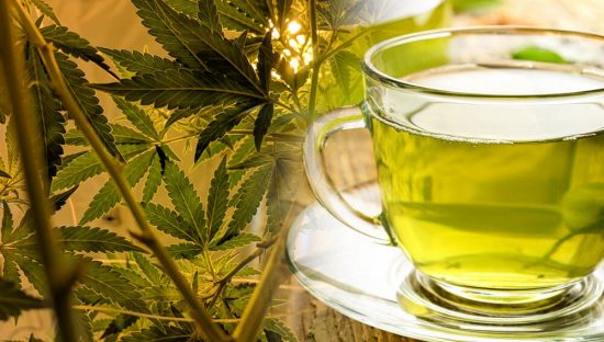 ¿CÓMO HACER UN TÉ DE MARIHUANA RÁPIDO Y FÁCIL?