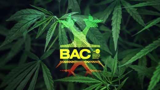 TABLAS DE CULTIVO B.A.C.