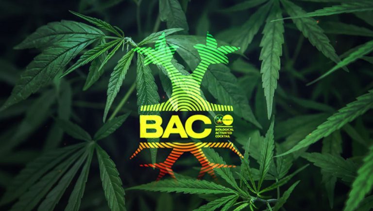 TABLAS DE CULTIVO B.A.C.