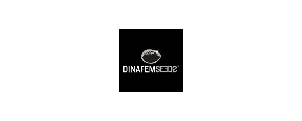 dinafem