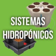 Sistemas Hidropónicos Para el Cultivo de Marihuana - EL MEJOR PRECIO