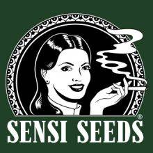 Sensi Seeds Feminizadas