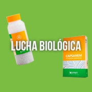 Lucha Biológica Para el Cuidado de Nuestro Cultivo - LA MEJOR OPCIÓN