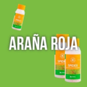 Cómo matar o eliminar la Araña Roja - LOS MEJORES PRODUCTOS