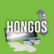 Hongos más comunes en la marihuana - Mejores productos - SLC