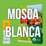 Eliminar la Mosca Blanca - EL MEJOR PRECIO ONLINE
