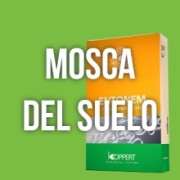 Productos Para Luchar Contra la Mosca del Suelo - EL MEJOR PRECIO