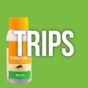 Eliminar los Trips del Cultivo - AL MEJOR PRECIO ONLINE