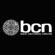 BCN Seeds Semillas de Marihuana Autoflorecientes