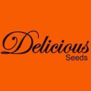 Delicious Seeds Semillas de Marihuana Autoflorecientes