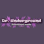 Dr. Underground Semillas de Marihuana Autoflorecientes