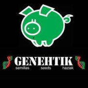 Genehtik -  Mejores Semillas de Marihuana Feminizadas | SLC