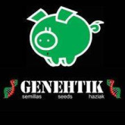 Catálogo Genehtik Autoflorecientes - Envío Discreto