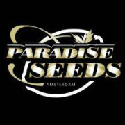 Paradise Seeds Semillas de Marihuana Autoflorecientes